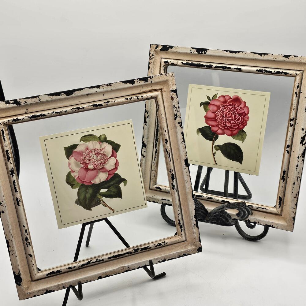 Set Of 2 Botanical Floral Prints Distressed Shabby Chic Camellia Framed Art